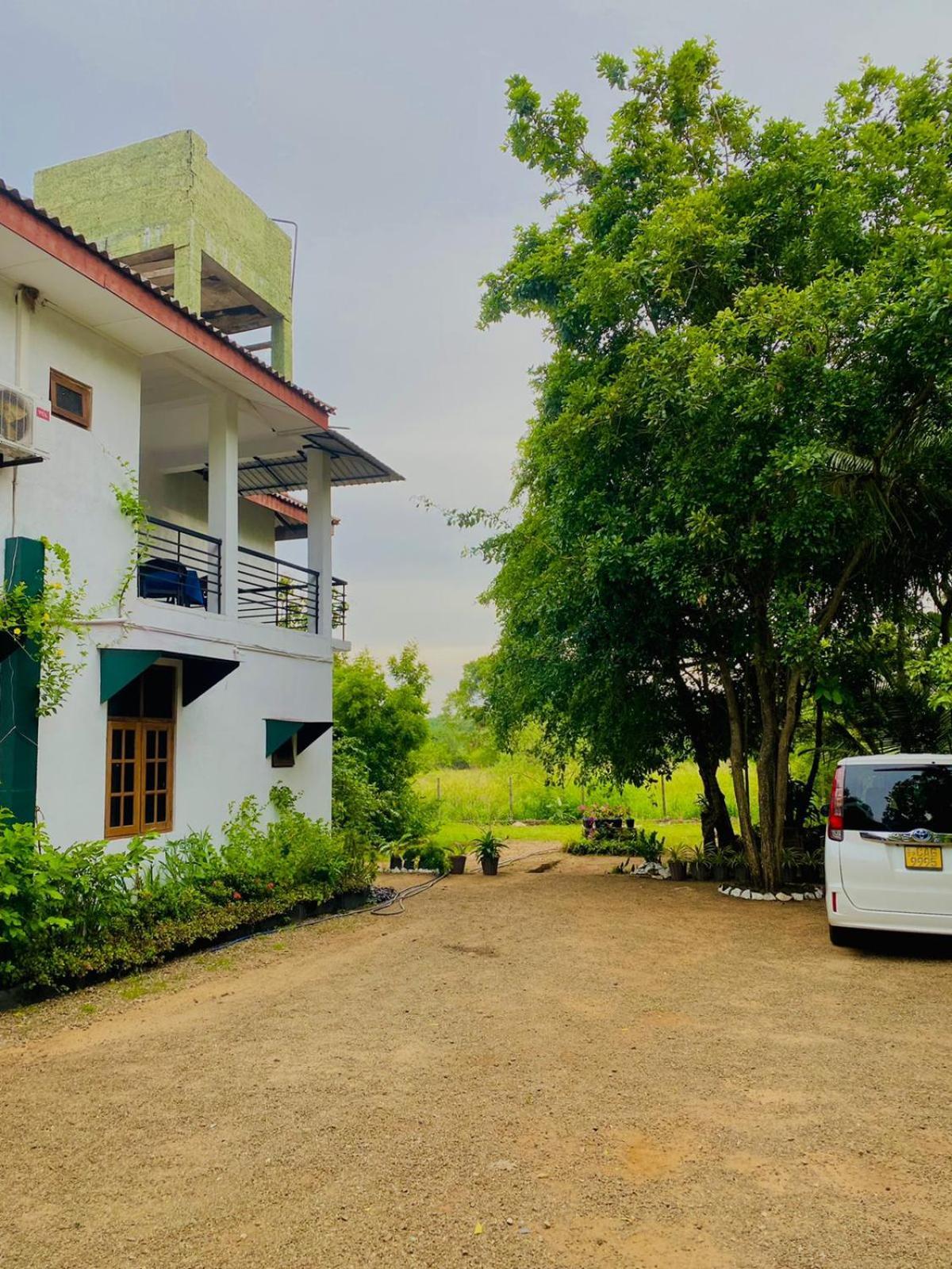 New Coconut Villa Sigiriya Exterior photo